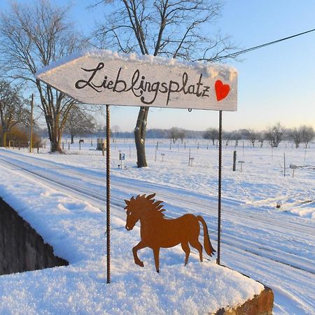 Ferienwohnung Auf Pferdehof Dreetz Bagian luar foto