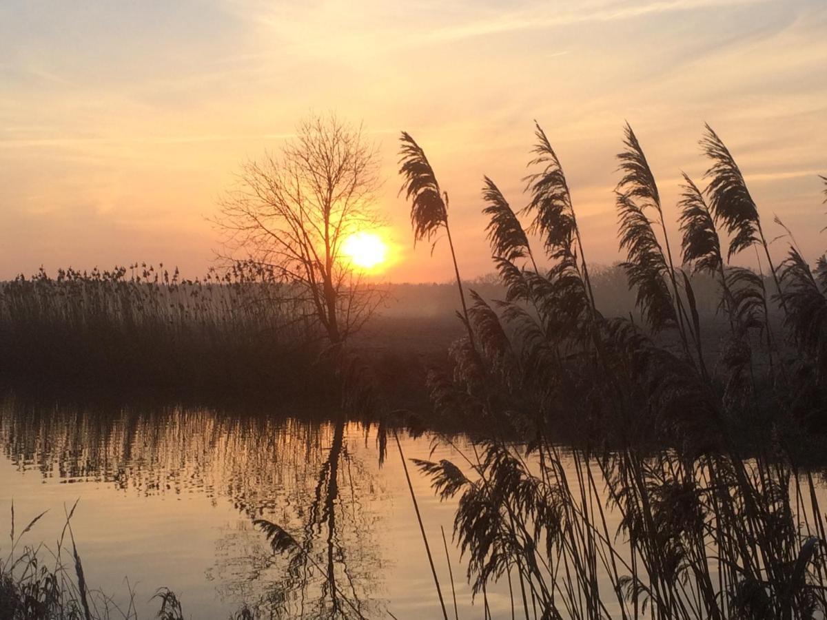 Ferienwohnung Auf Pferdehof Dreetz Bagian luar foto