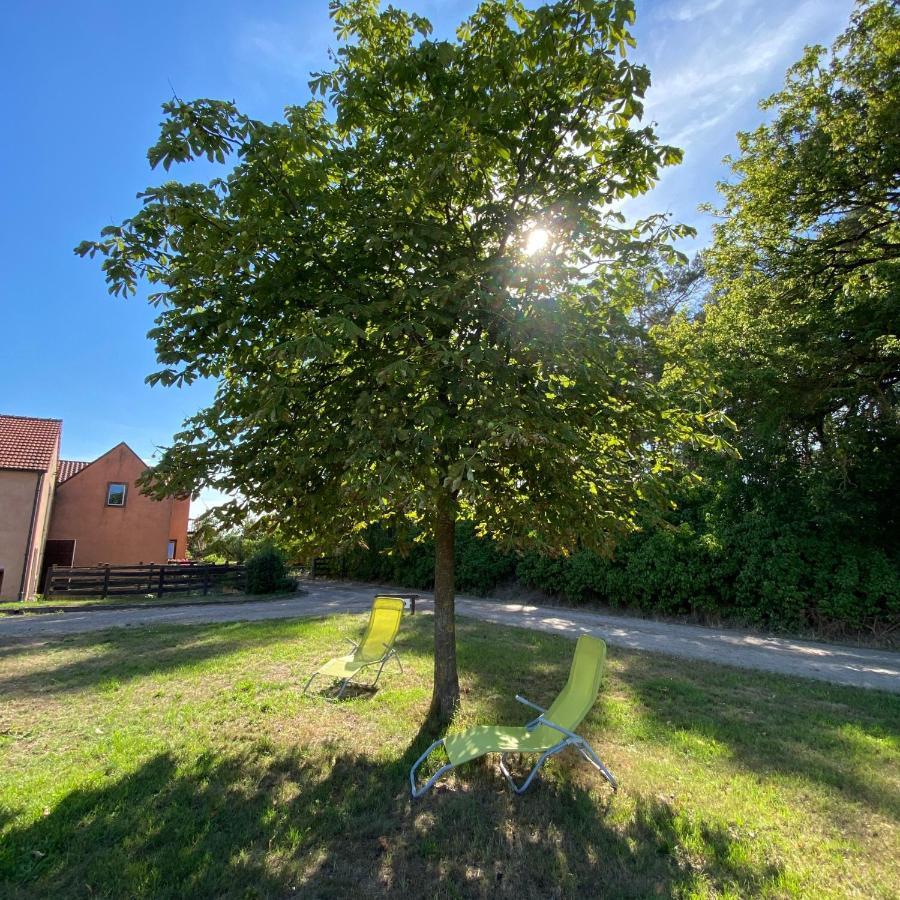 Ferienwohnung Auf Pferdehof Dreetz Bagian luar foto