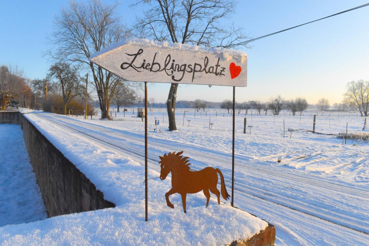 Ferienwohnung Auf Pferdehof Dreetz Bagian luar foto