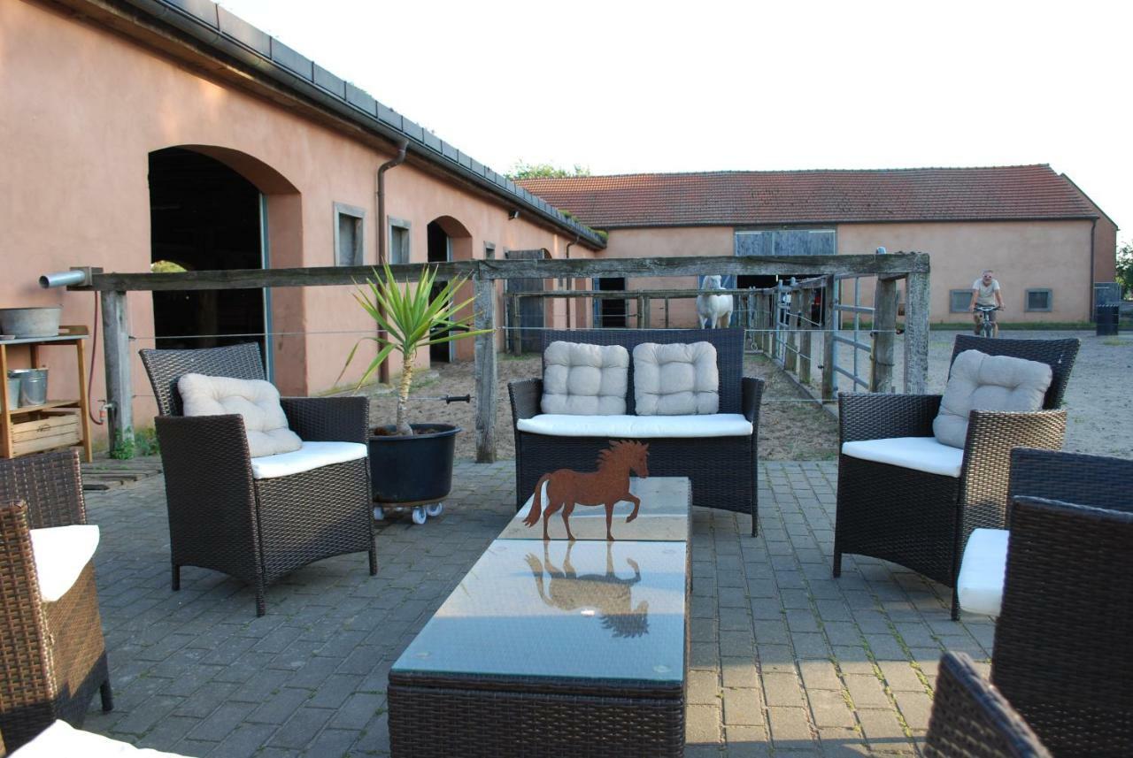 Ferienwohnung Auf Pferdehof Dreetz Bagian luar foto