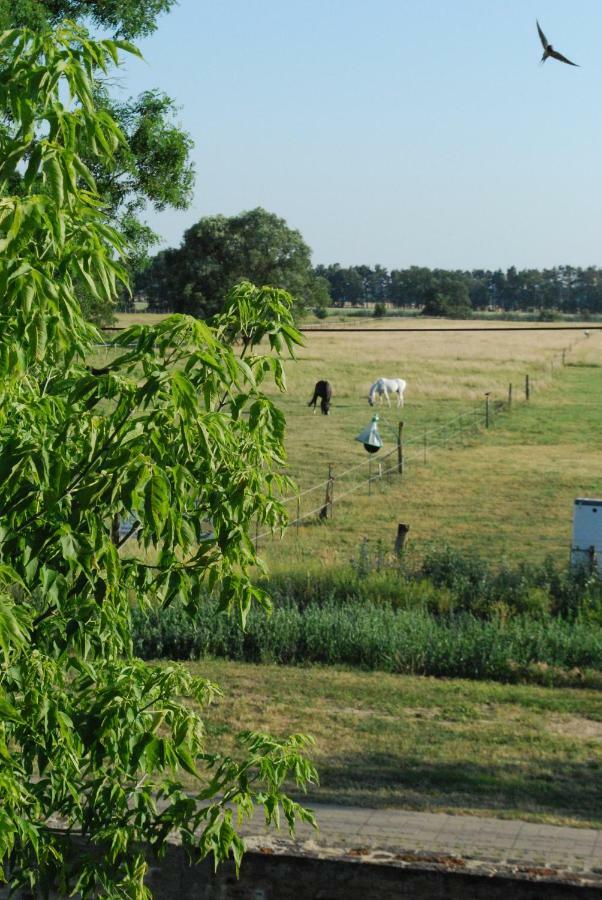 Ferienwohnung Auf Pferdehof Dreetz Bagian luar foto