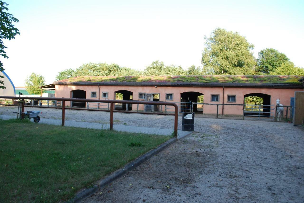 Ferienwohnung Auf Pferdehof Dreetz Bagian luar foto