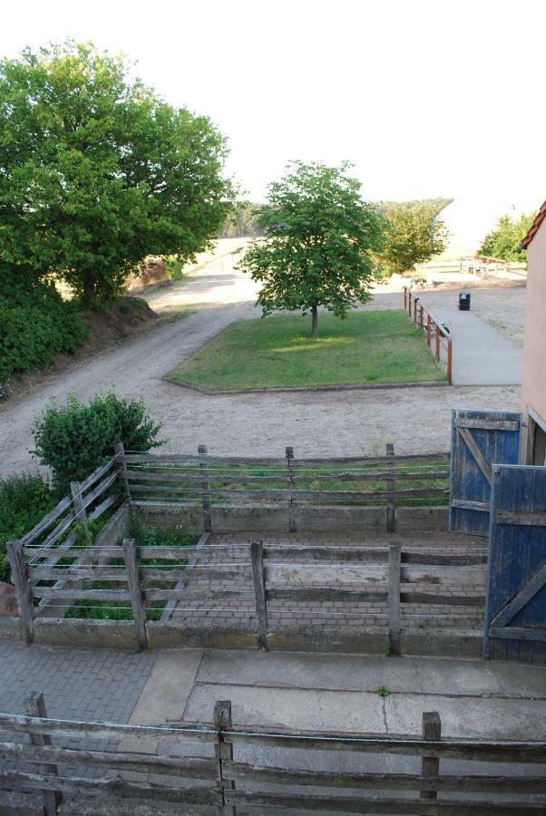 Ferienwohnung Auf Pferdehof Dreetz Bagian luar foto